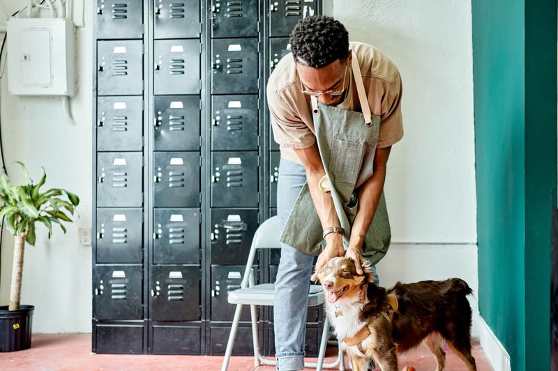 Profitability Analysis How much does a dog groomer make? — PetExec